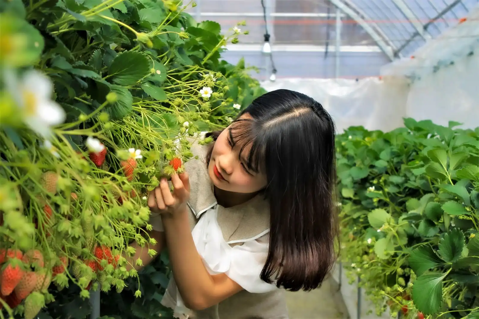 长春恒奇环保污水处理工艺技术路线及应用场景解析