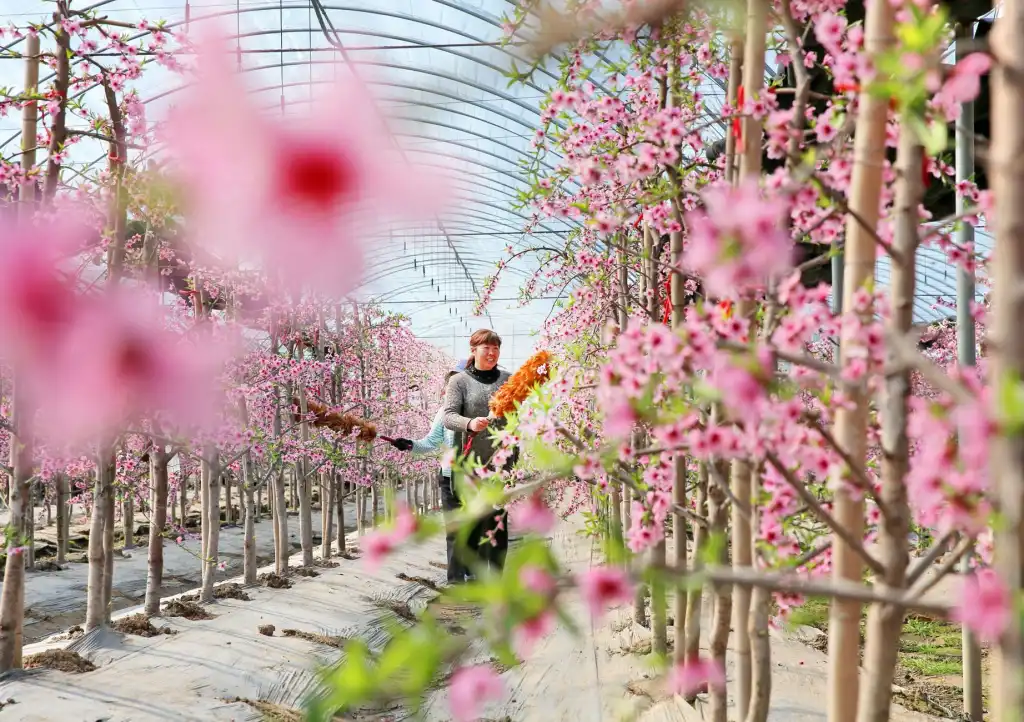 东北地区工业废水处理技术难点与创新方案分析