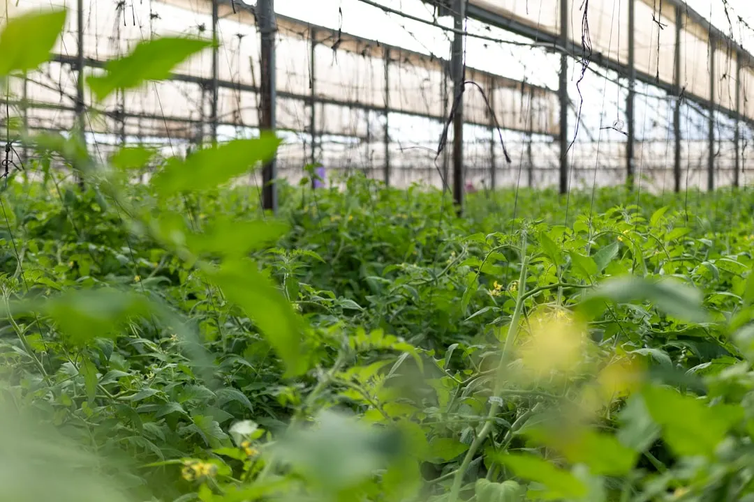 长春恒奇环保科技污水处理工程设计方案与排放达标实践